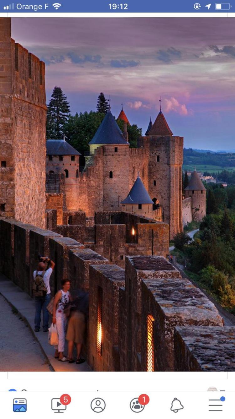 L'Oree De La Cite Villa Carcassonne Dış mekan fotoğraf