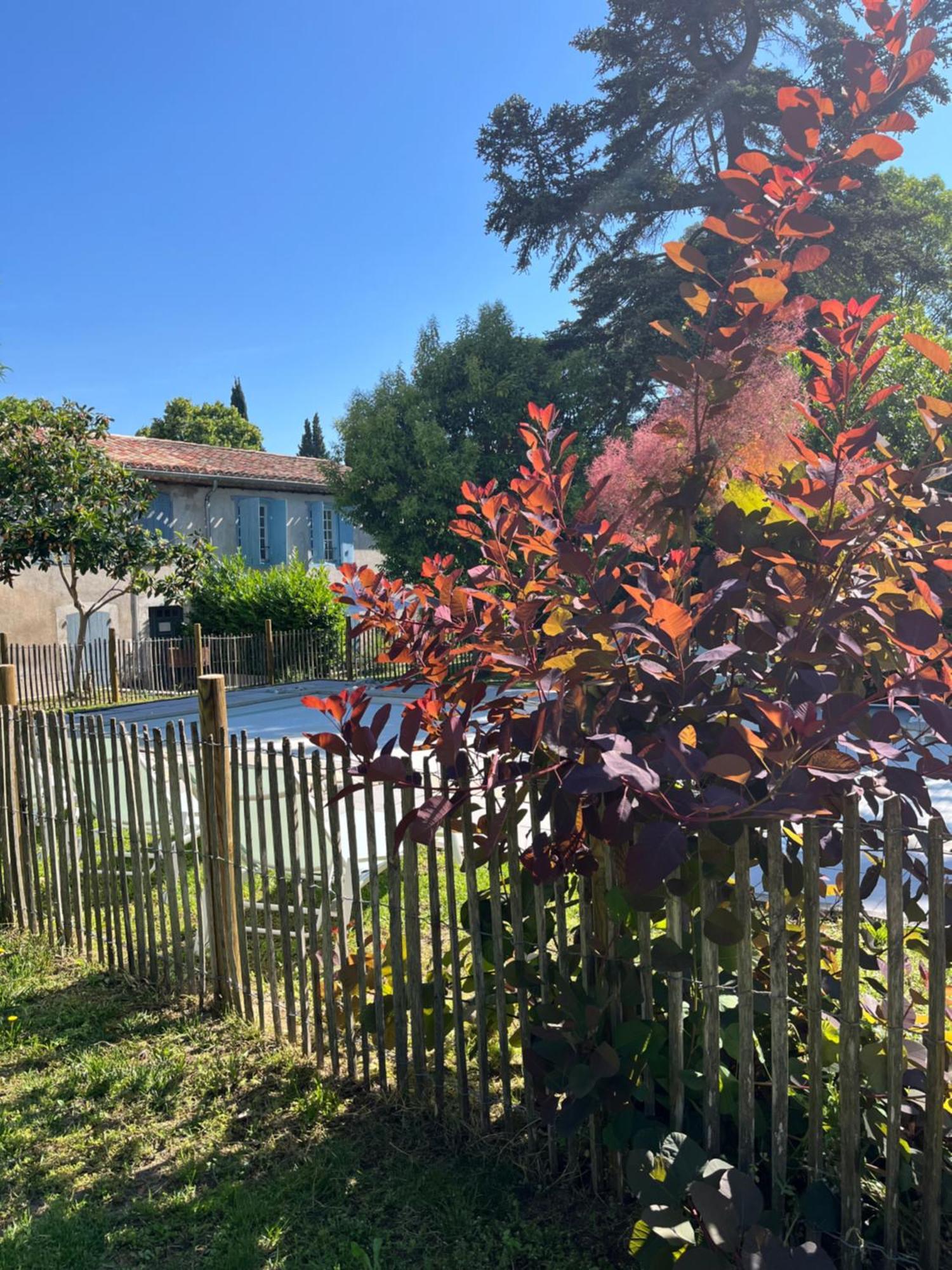 L'Oree De La Cite Villa Carcassonne Dış mekan fotoğraf